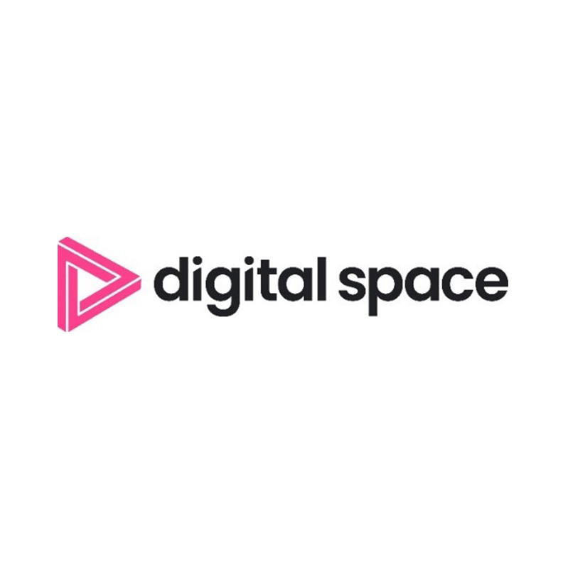 Digital Space Group logo